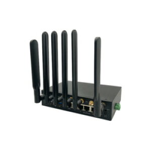 Peplink MAX-BR2-LTE-EJ-T-PRM 񂹏i