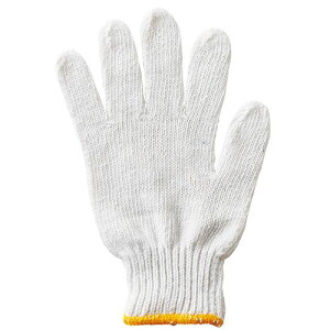 TPS pR 1Zbg(120o:12o×10pbN)(4589585750297 x10) ڈ݌=