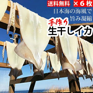 ԉHӏX X̖IyY Ⓚz^Ⓚ CJ i200gȏj 6(4582390700082 ×6) Yi