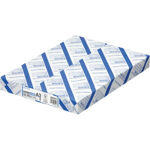 RN KOKUYO KBp(p) A3 1(1500:500×3)(4901480013701 x3) ڈ݌=