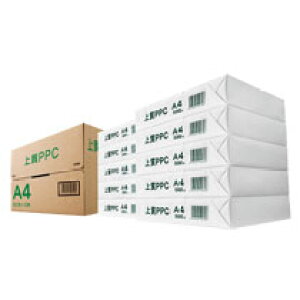 ㎿PPCp NY A4 1(5000:500×10)(PPCNY-A4W) ڈ݌=