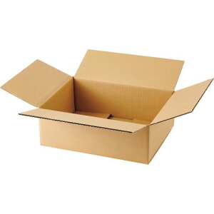 TPS 無地ダンボール箱 B4ワイド判対応 Aフルート 高さ150mm 1パック(10枚)(4589585761590) 目安在庫=○