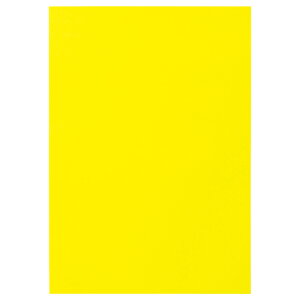 TPS Fp l  1pbN(10)(CDP4-C05) ڈ݌=