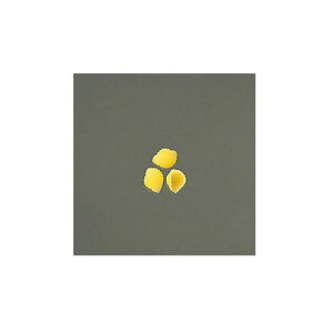 EFi Ɩp }}[ VF X[ 4kg ×4Zbg(4902110330670 x4) 񂹏i