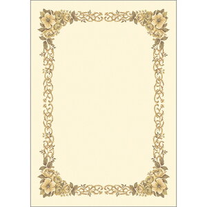 TTK ^J m܏p B4 ^eRp 1Zbg(50:10×5pbN)(4974268253392 x5) ڈ݌=