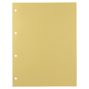 LOW KING JIM fbNX|Pbg A4^e 2E4 䎆 1Zbg(100:10×10pbN)(4971660196104 x10) ڈ݌=