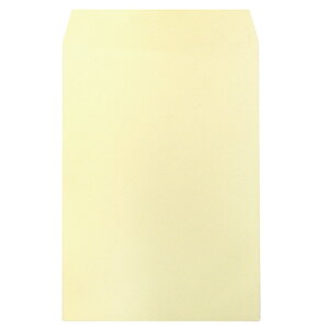 n[g ȂJ[ p2 PN[ 100g/m2 g 1Zbg(500:100×5pbN)(4546940613819 x5) ڈ݌=