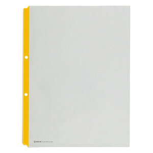 LOW KING JIM J[K[h|Pbg A4^e 2  1Zbg(100:10×10pbN)(4971660197408 x10) ڈ݌=