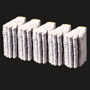 ns _CgX pR 1Zbg(120o:12o×10pbN)(4985969956185 x10) ڈ݌=