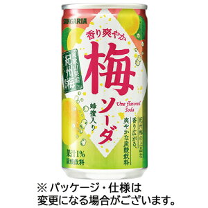 TKA u₩~\[_ 190g  1Zbg(60{:30{×2P[X)(4902179021526 x60) ڈ݌=