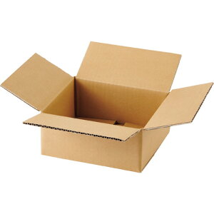 TPS n_{[ A5ΉTCY 100mm 1Zbg(60:20×3pbN)(4589585761538 x3) ڈ݌=