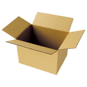 TPS n_{[ PCpΉ(M)TCY 290mm 1Zbg(30:10×3pbN)(4580128340579 x3) ڈ݌=