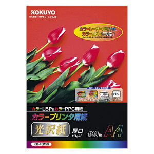 RN KOKUYO J[v^p() A4 1Zbg(500:100×5)(4901480588957 x5) ڈ݌=