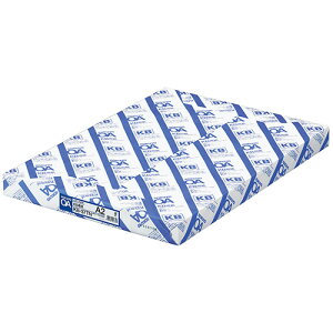 RN KOKUYO KBp A2 1Zbg(1000:500×2)(4901480013756 x2) ڈ݌=