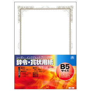 {@ [U[ECNWFbgv^Ή ߁E܏p B5 1Zbg(100:10×10pbN)(4976075519234 x10) ڈ݌=