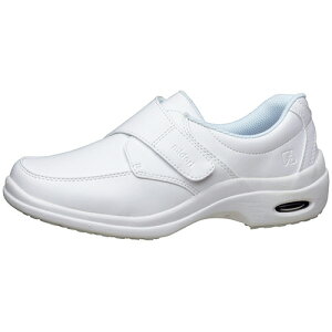 ~hS ÓdƌC fBJGpX CSS-15Si Ód zCg 22.5cm 1(CSS-15Si-SEIDEN-W-22) ڈ݌=