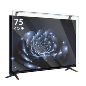 GfB[GX 75C`Ή tTVیpl(MDS-ETVHP75BLT) 񂹏i