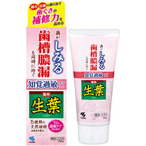 ѐ t moߕqPA^Cv 100g 1(KS027110) ڈ݌=