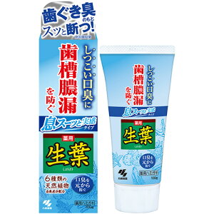 ѐ t X[bƎ^Cv 100g 1(KS060322) ڈ݌=