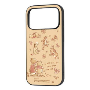 ���C�E�A�E�g iPhone 18 Pro / 17 Pro / �f�B�Y�j�[ / maru�Ռ� HYB /�v�[_100��(RJ-DP58K4TB/PO75) ���񂹏��i