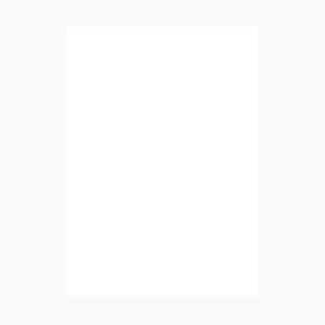 | PP@B5ⳁ@p~X@(1737328) 񂹏i