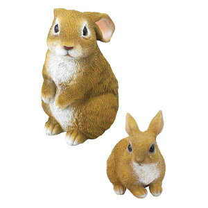 m[uh ̃I[ig2_Zbg(K60110319) 񂹏i