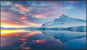 �p�i�\�j�b�N Panasonic 50�^4K�t���G���g���[�f�B�X�v���C(TH-50FQ1J) �ڈ��݌�=��