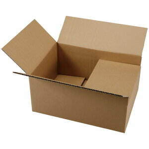 TPS �ώ��y�ʃ^�C�v��z�p�i�{�[�� 100/80-A3 1�p�b�N(20��)(KAF-K100A3) �ڈ��݌�=��