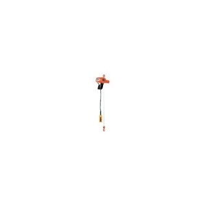 �ۈ�`�F���u���b�N ���^�d�C�`�F�[���u���b�N(���i���^)160kg �P��100V 1��(ASV-K1630) �ڈ��݌�=��