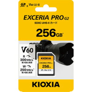 KIOXIA �L�I�N�V�A KSDHU-B256G(1598669) ���񂹏��i