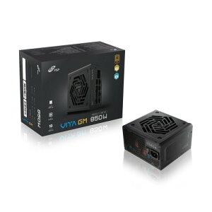 FSP VITA-850W(VITA-850GM) �ڈ��݌�=��