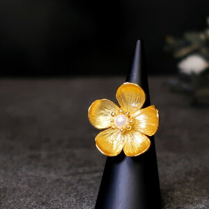 yBꖳB|Iȑ݊zO w fB[X 22 22K AeB[N S[h O t[TCY VR΃O Wp[ ^ obN ԕ  t[ Ԃ 傫 d