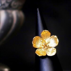 yBꖳB|Iȑ݊zO w fB[X 22 22K AeB[N S[h O t[TCY ԕ  t[ Ԃ 傫 d˂Â C[h `[t nanotta ARN065 u