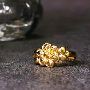 yBꖳB|Iȑ݊zO w fB[X 22 22K AeB[N S[h t[TCY ԕ  t[ d˂Â C[h `[t nanotta ARN071 uh lC LO