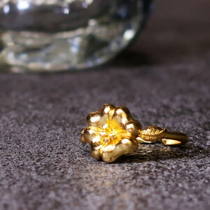 yBꖳB|Iȑ݊zO w fB[X 22 22K AeB[N S[h t[TCY ԕ  t[ d˂Â C[h `[t nanotta ARN072 uh lC LO