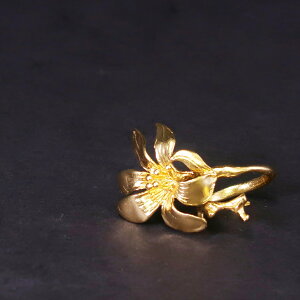 yBꖳB|Iȑ݊zO w fB[X 22 22K AeB[N S[h t[TCY ԕ  t[ d˂Â C[h `[t tH[NO nanotta ARN082 uh 