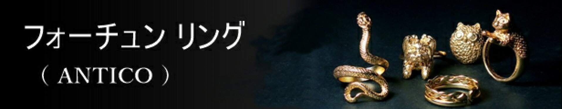 nanotta ANTICO K22 フォーチューン リング