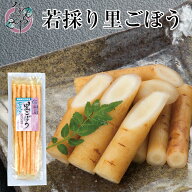 【クーポンで10%OFF 8/11(火)1:59まで】若採り里ごぼう 160g【漬物 しょうゆ漬け ごぼう 牛蒡 国産 国内…