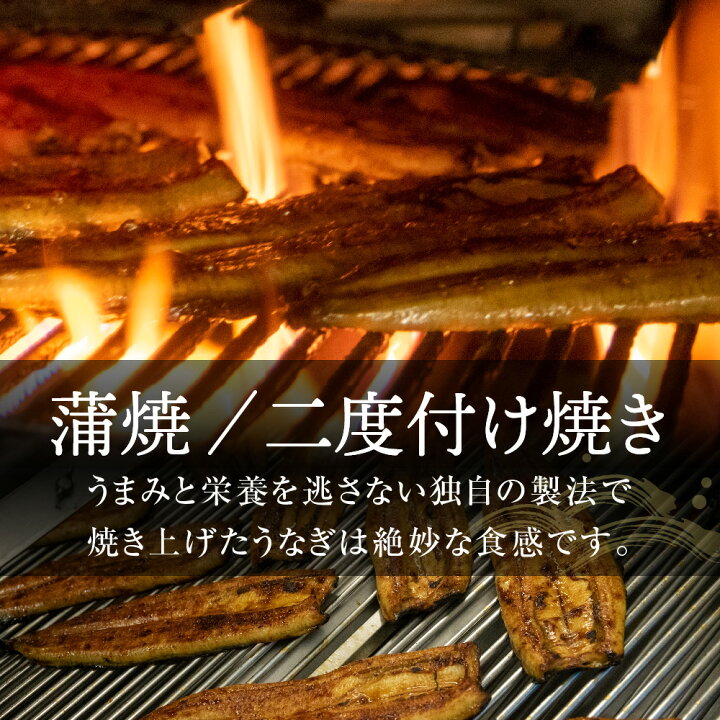 楽天市場 うなぎ 蒲焼 140g 2尾入り 2 3人分 浜名湖産 送料無料 国産 お年賀 バレンタイン ギフト 食べ物 お祝い 内祝 浜名湖 土用の丑の日 お取り寄せ グルメ プレゼント 鰻 ウナギ 蒲焼き かば焼 かば焼き 贈答 浜松 ご飯のお供 菜乃屋