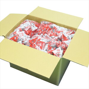 앗 ߕeg~bNX 2026Nߕ Ɩp ߕ܂ HׂĂ ^Cv