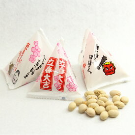 南風堂 煎り大豆テトラパック 2026年節分 業務用大袋 九州産煎り大豆のテトラパック 個包装タイプ