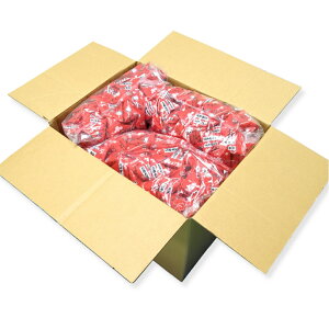 앗 ݂哤egpbN 2026Nߕ Ɩp BY哤َ݂̂q ^Cv