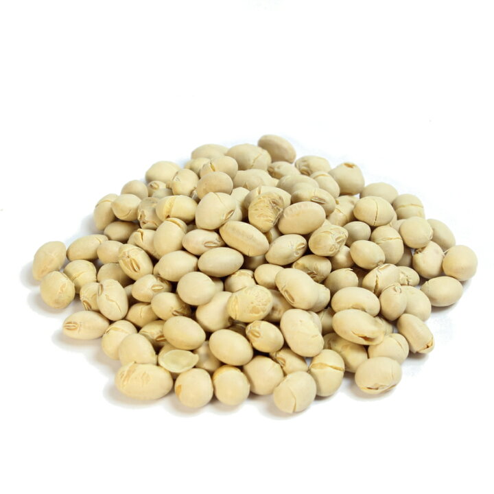 楽天市場 鬼打豆50g 40 鬼面40枚付 21年節分 南風堂 ケース販売 九州産大豆をカリッとロースト 南風堂楽天市場店 楽天市場 鬼打豆50g 40 鬼面40枚付 21年節分 南風堂 ケース販売 九州産大豆をカリッとロースト 南風堂楽天市場店