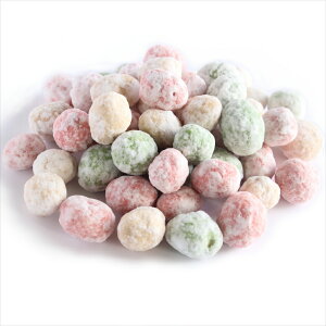 ߕ500g 앗 2026Nߕ p BY哤gpَ̍q