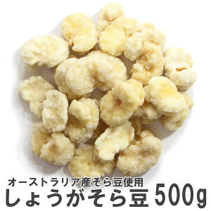 傤瓤500g 앗 p I[XgAY瓤̐I