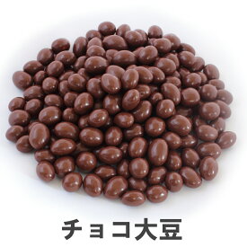 南風堂 チョコ大豆 九州産大豆のチョコボール 自社焙煎 自社加工