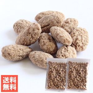 앗 ViA[h [֔ A[h̃Vi