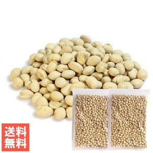 앗 Y\tg哤 ߂[ BY哤Jbƃ[Xg 哤̉h{̂܂܂