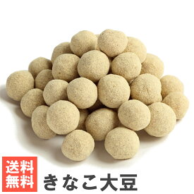 南風堂 きなこ大豆 送料無料メール便発送 きな粉たっぷりの大豆豆菓子 九州産大豆・きなこ・小麦粉使用 おやつ お茶請に
