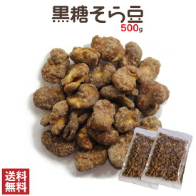 南風堂 黒糖そら豆 送料無料お試しメール便 揚げそら豆の黒糖かけ豆菓子